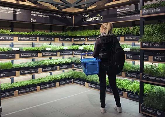 Zelf-pluk kruidentuin bij Albert Heijn-XL